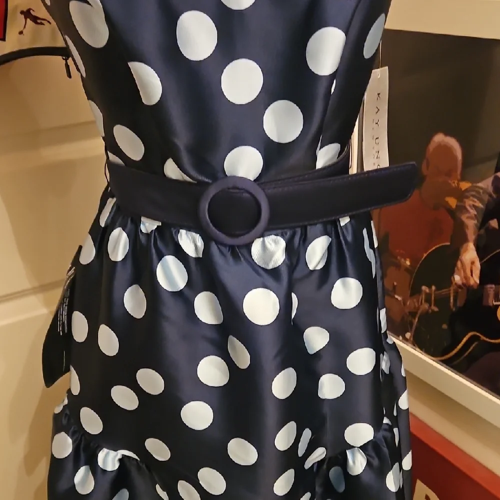 Kay Unger Navy and White Polka Dot A-Line Dress - Picture 3 of 9